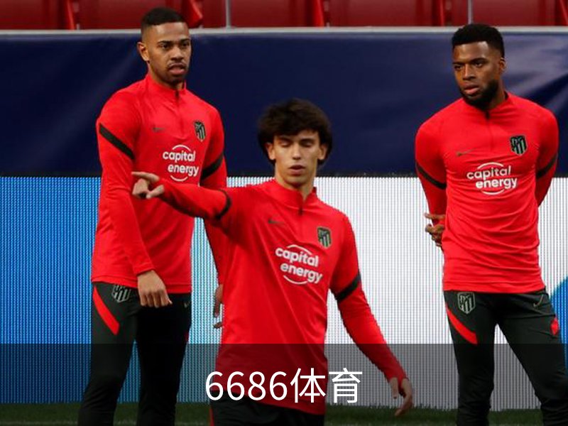 关于6686体育